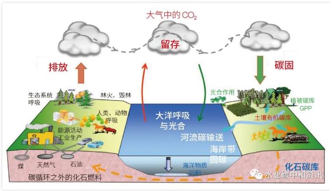 研究综述 | 污水COD中化石碳排成分不容小觑