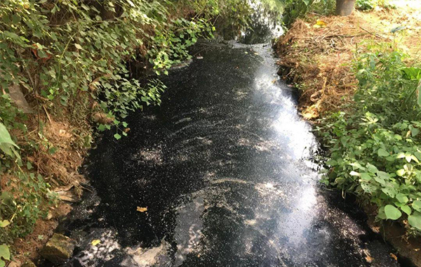 基于污水系统提质增效的老旧城区黑臭水体整治