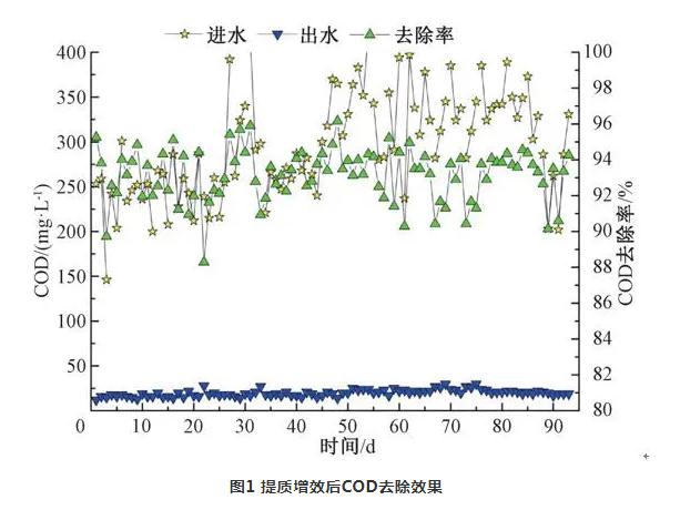 案例：提质增效对污水处理厂的影响分析