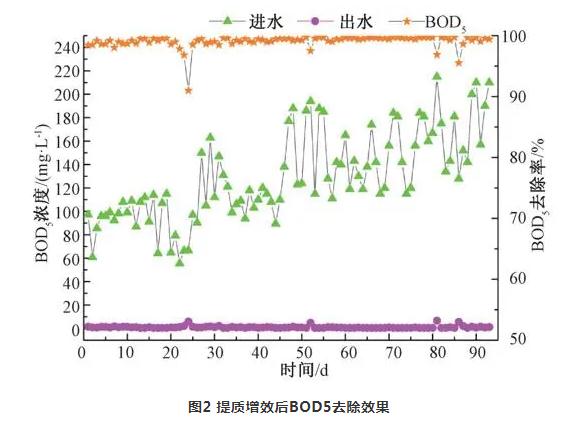 案例：提质增效对污水处理厂的影响分析