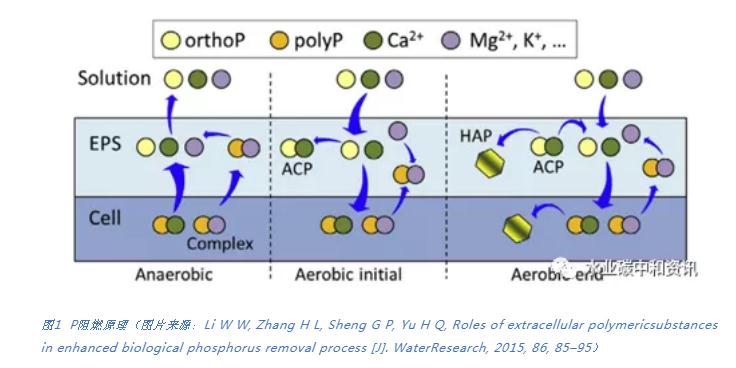 研究综述 | 污泥EPS中成分可用作阻燃剂