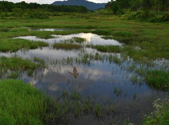 中邦山水：投资26亿元打造生态湿地系统与城市滨水花园