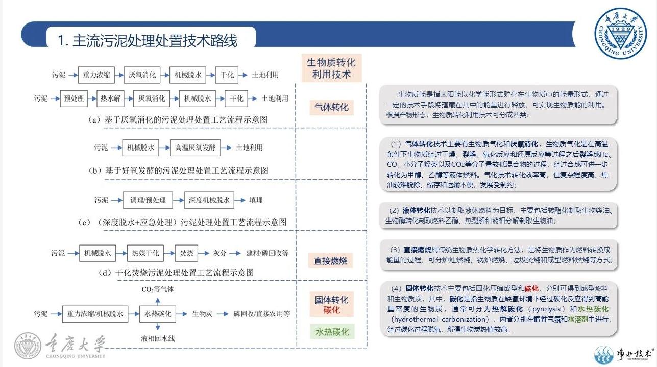 水热碳化技术在污泥处理处置中的应用