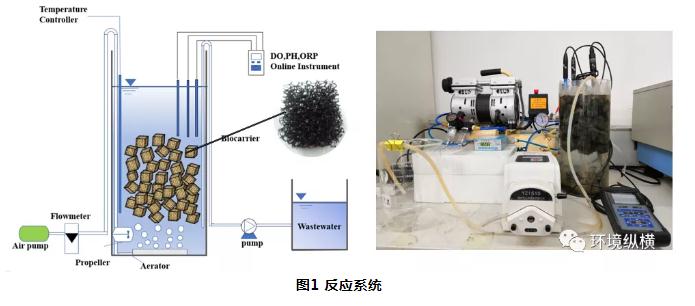 高氨氮有机废水深度处理新利器：SCONDAⓇ工艺