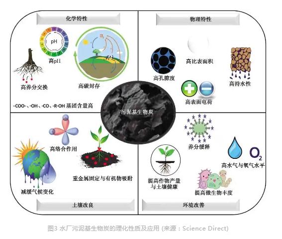 污泥基生物炭的制备技术及环境应用与研究热点