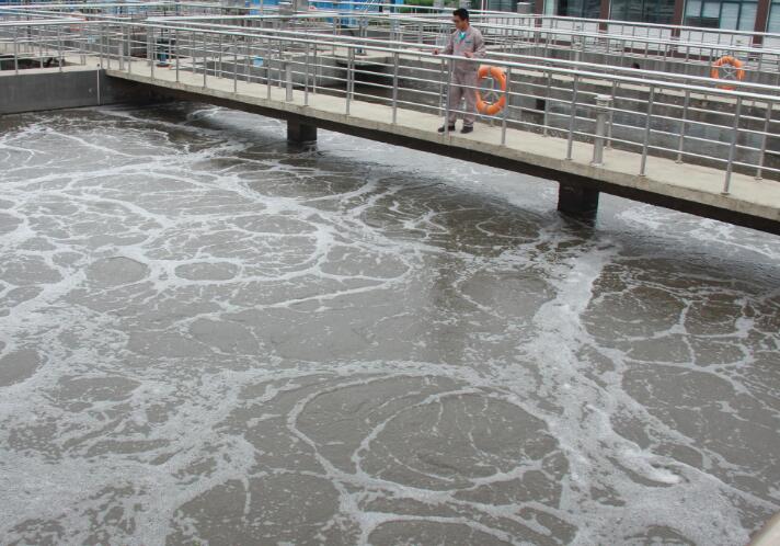 当地政府应付督察 投千万资金买临时设备 茂名污水治理为何纰漏百出？