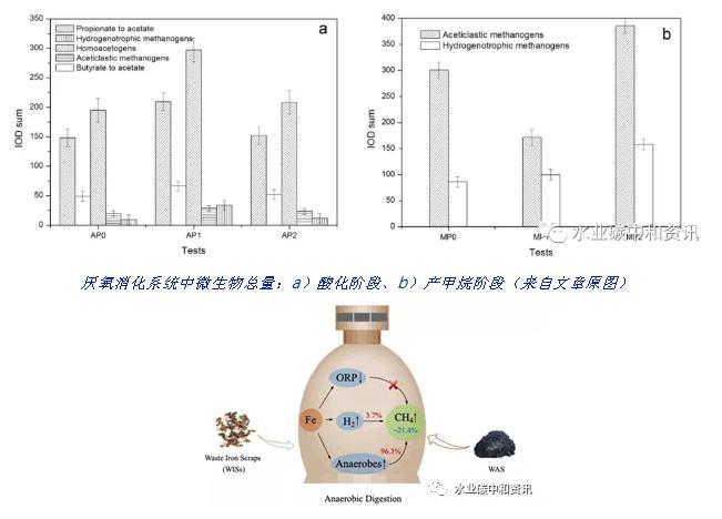 废铁屑强化剩余污泥厌氧消化产甲烷机理研究