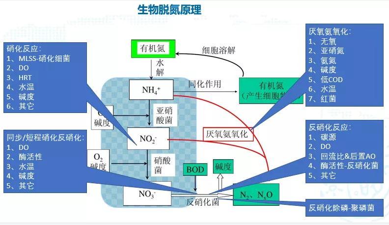 碳中和趋势下污水处理节能降耗技术需求解读