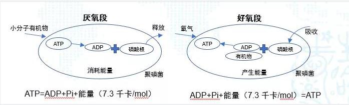 碳中和趋势下污水处理节能降耗技术需求解读