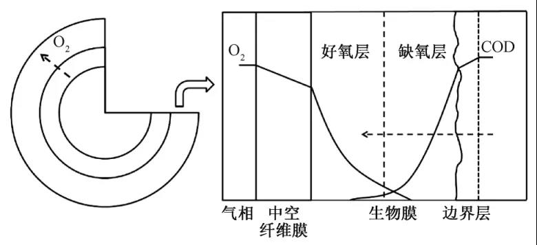 膜曝气生物膜反应器生物脱氮研究进展