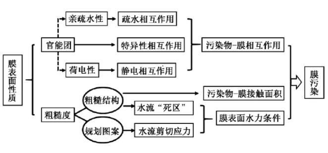 高压膜表面性质对膜污染的影响机制