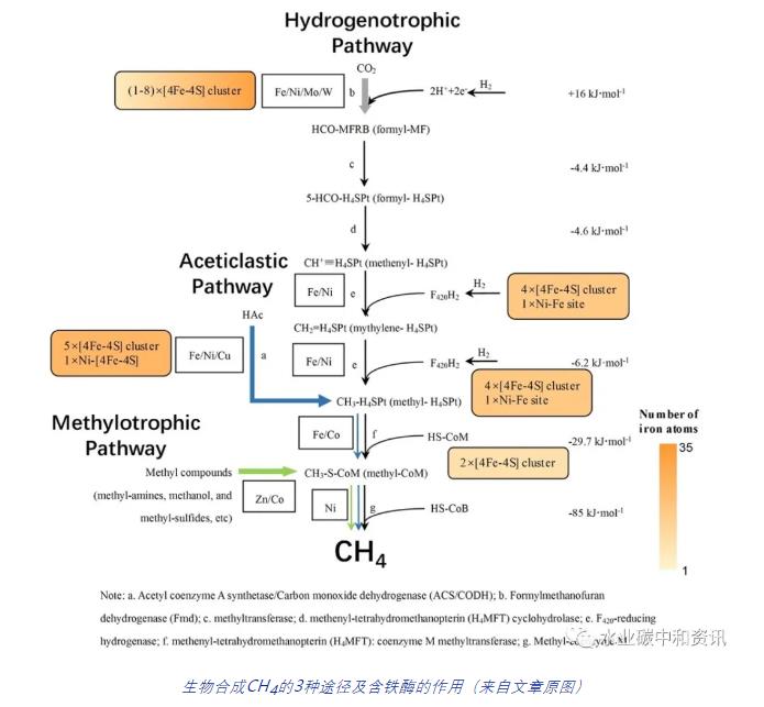 废铁屑强化污泥厌氧消化产甲烷可行性分析