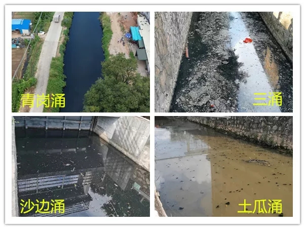 典型案例丨广东省中山市治水工作部署推进不力 内河涌污染问题突出