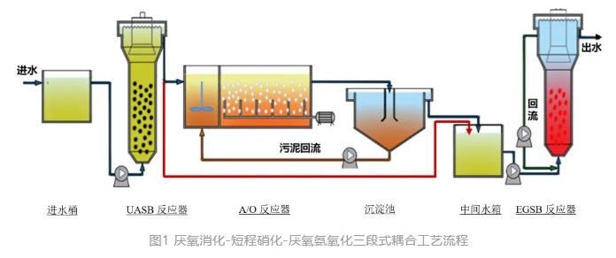 生活垃圾焚烧厂渗沥液厌氧氨氧化脱氮效能及微生物机理研究