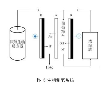 双极膜电渗析技术的研究进展