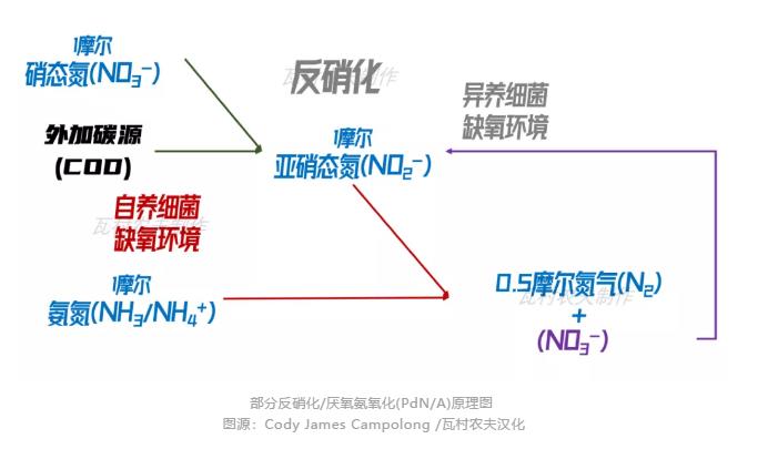 弯路变捷径 美国首个主流anammox污水厂2023年面世？