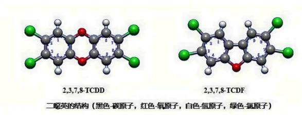 观点回顾 | 对剩余污泥不必“谈烧色变”