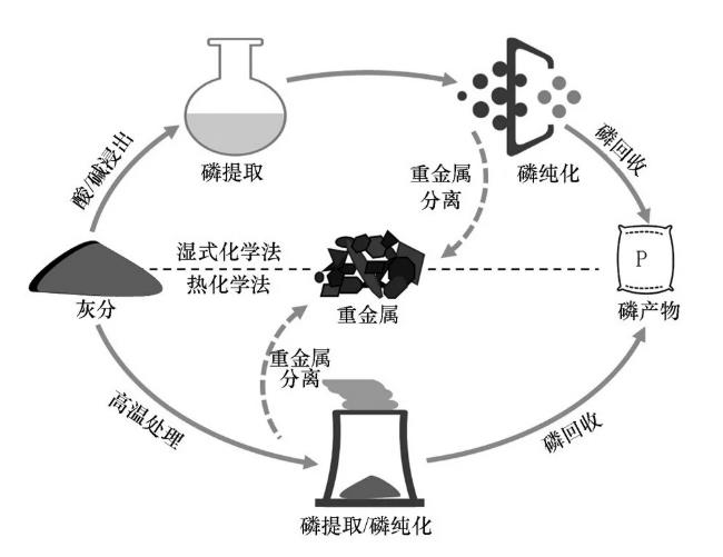 资源回收 | 污泥焚烧灰分：磷回收简单而有效位点