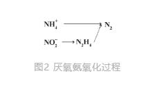 新型生物脱氮除磷技术在城市污水处理中的发展趋势