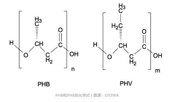 污泥变塑料 | 曾被放弃的技术 荷兰人把它救活了？