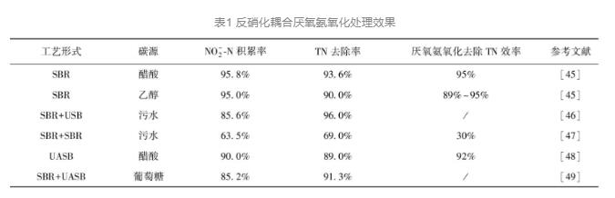 厌氧氨氧化—城市主流污水处理工艺的前世今生