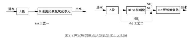 厌氧氨氧化—城市主流污水处理工艺的前世今生