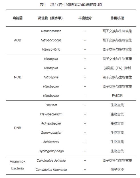 沸石联合生物工艺在污水脱氮领域的最新研究进展