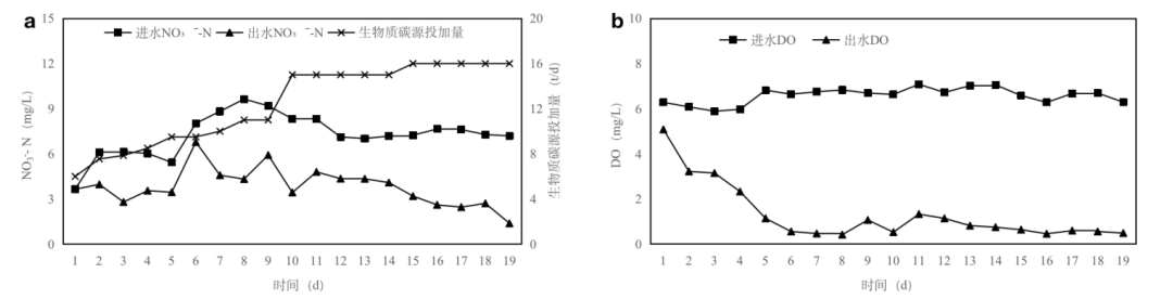 新型生物质碳源强化脱氮效果及微生物菌群分析