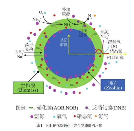 沸石联合生物工艺在污水脱氮领域的最新研究进展