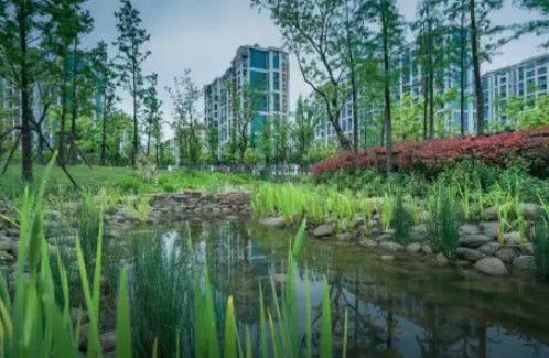 住建部关于进一步明确海绵城市建设工作有关要求的通知