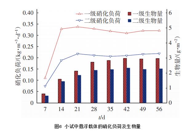 纯膜MBBR工艺处理微污染水的工程启动研究