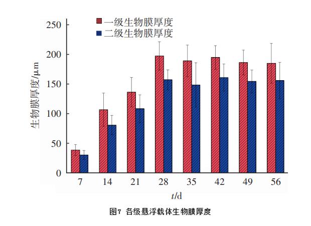 纯膜MBBR工艺处理微污染水的工程启动研究