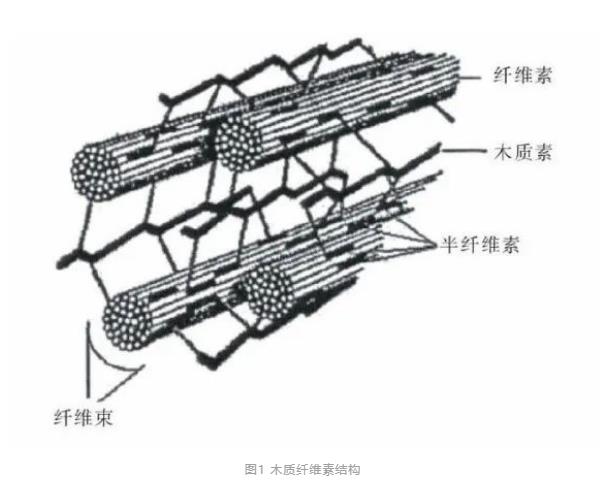 筛分回收污水中纤维素物质