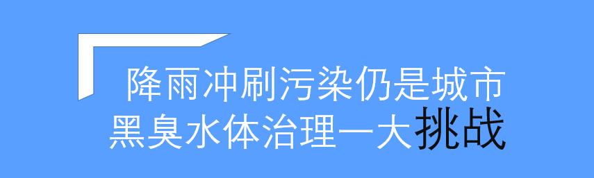 汛期已至 城市水体雨后黑臭问题该如何破解？