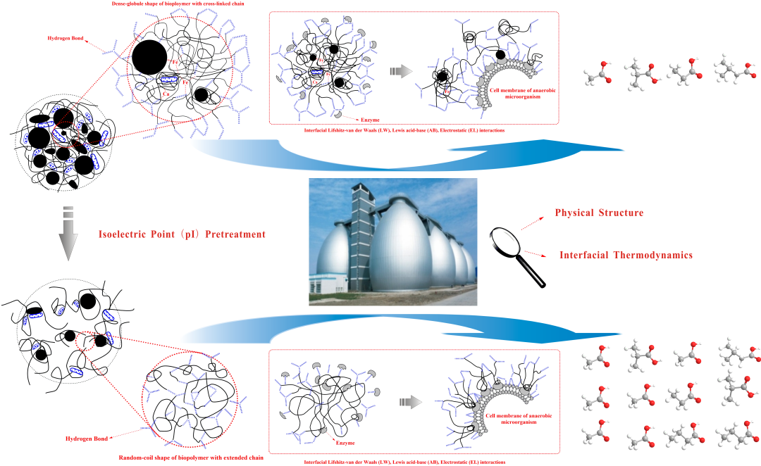 基于等电点预处理的新型污泥厌氧消化技术