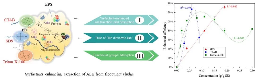 原创研究 | 表面活性剂强化活性污泥类藻酸盐提取