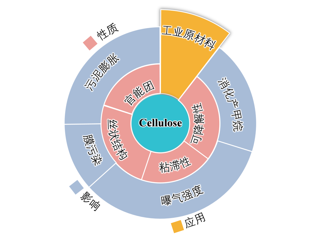 污水纤维素：价值资源、回收节能