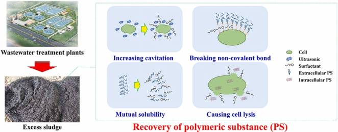 表面活性剂强化超声波提取剩余污泥中高分子物质