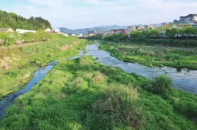 重视生态补水！流域水资源统一调度这样安排