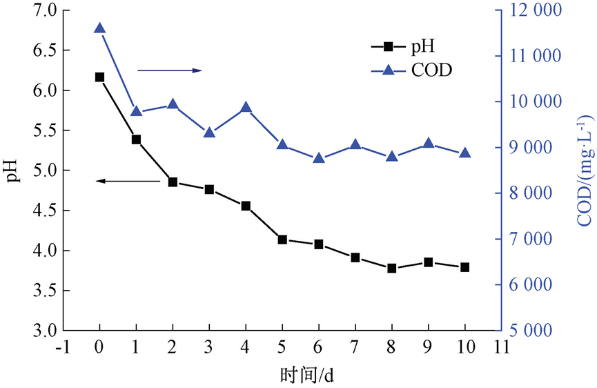 案例：咖啡初加工废水处理工艺及设计