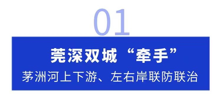 茅洲河治水的“双城纪事”