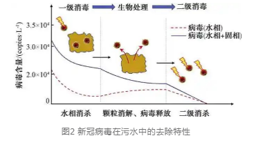 新冠病毒在污水处理厂的分布特征及去除特性研究进展