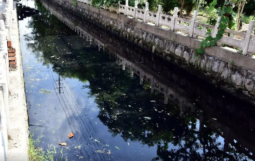 城市思维？农村黑臭水体治理说“行不通”