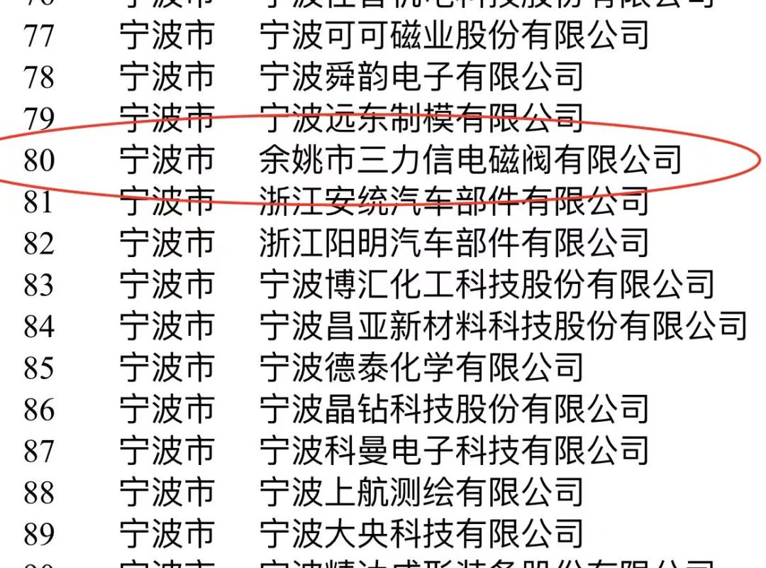 喜报！三力信电磁阀有限公司被工信部认定为国家级专精特新“小巨人”企业！