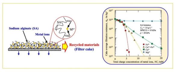 超滤回收藻酸盐：高价金属离子缓解膜污染与回收物特性