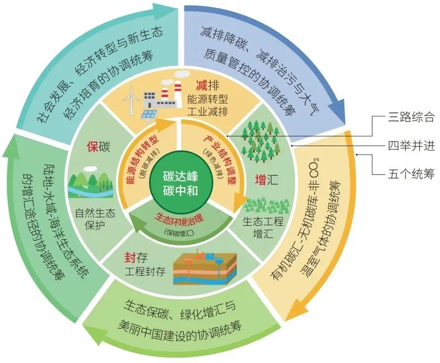 什么是“双碳”？水环境如何实现碳减排？