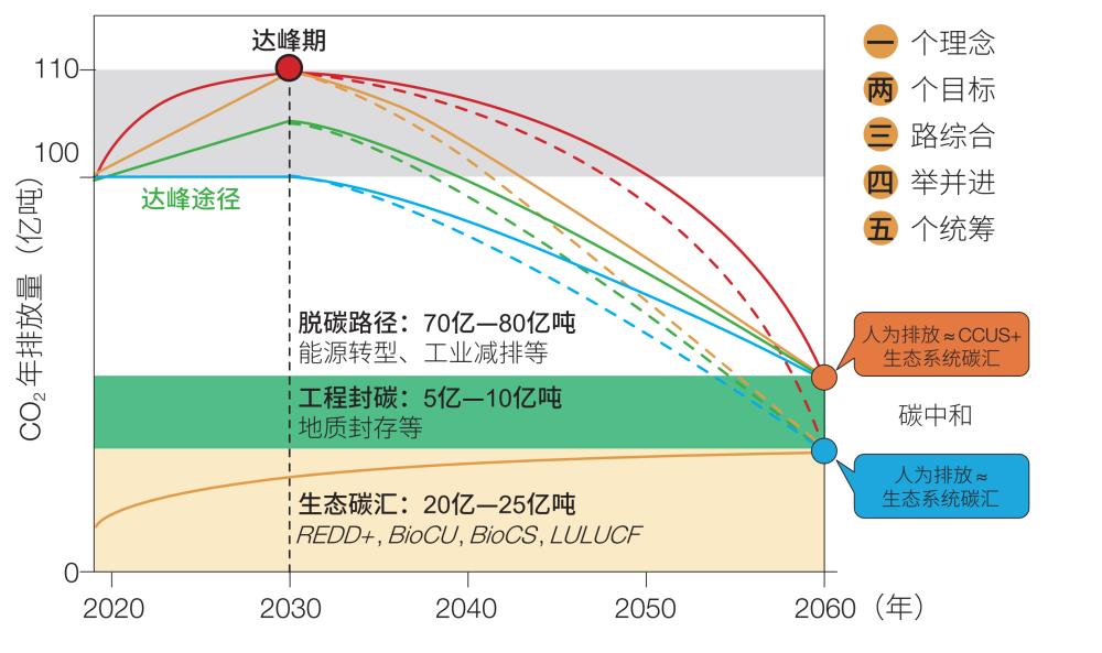 什么是“双碳”？水环境如何实现碳减排？