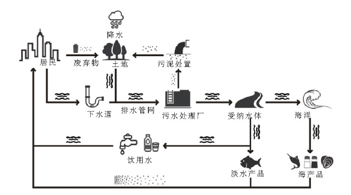 微塑料在污水处理过程中的演变与归宿