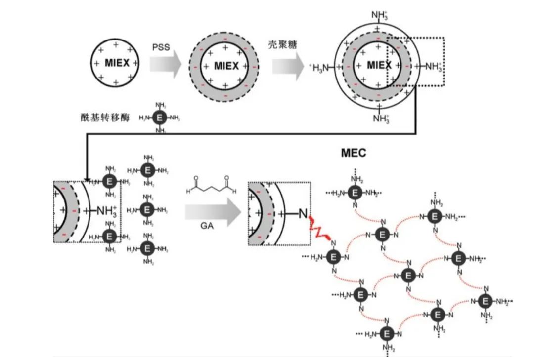 基于群体感应的水处理膜生物污染控制研究进展