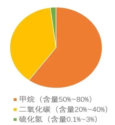 再生能源 | 欧洲创造生物甲烷记录——脱碳之“基石”